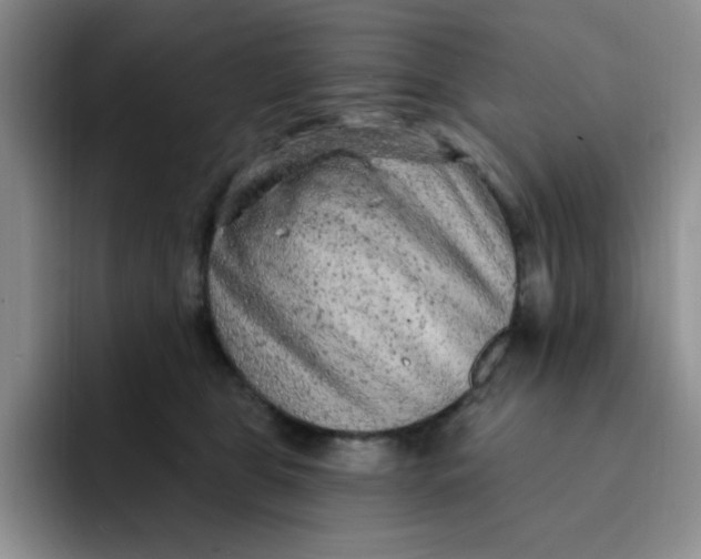 X0000091730469200709141229