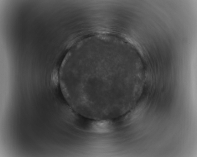 X0000091730479200709141229