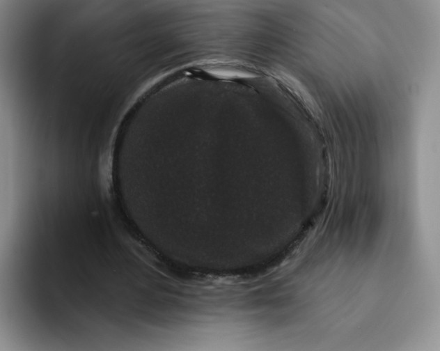 X0000091730484200709141229