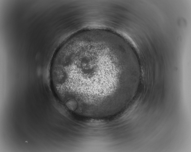 X0000091730487200709141229