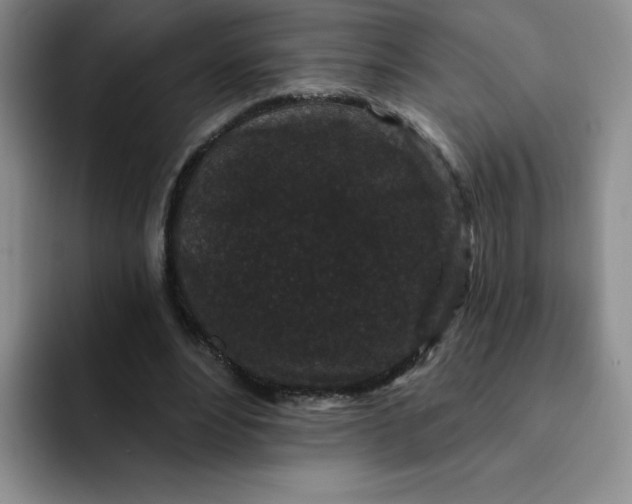 X0000091730488200709141229