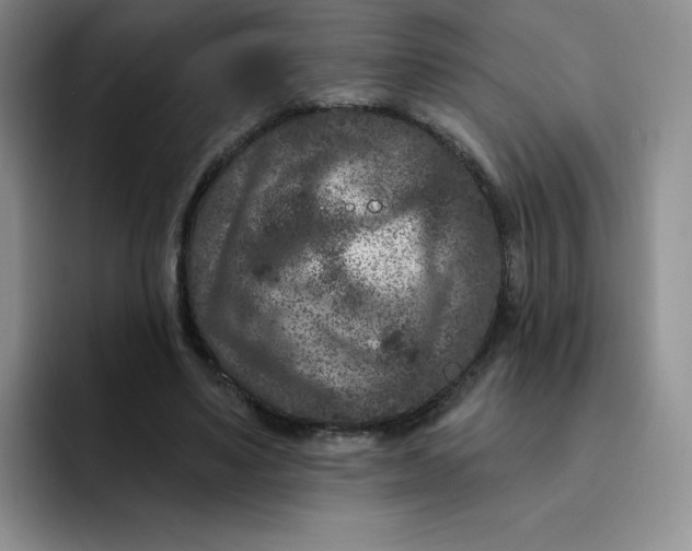 X0000091730491200709141229