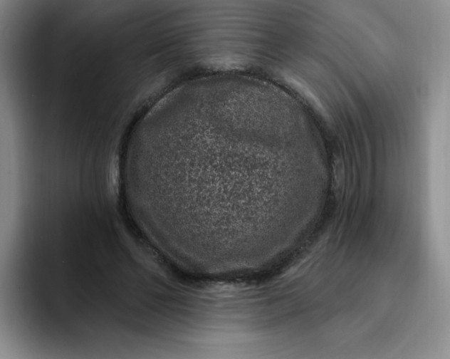 X0000091730494200709141229