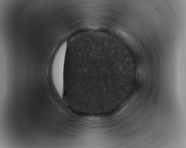 X0000091730500200709141228