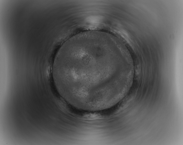 X0000091730503200709141228