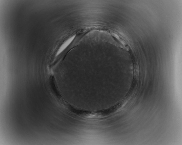 X0000091730504200709141228