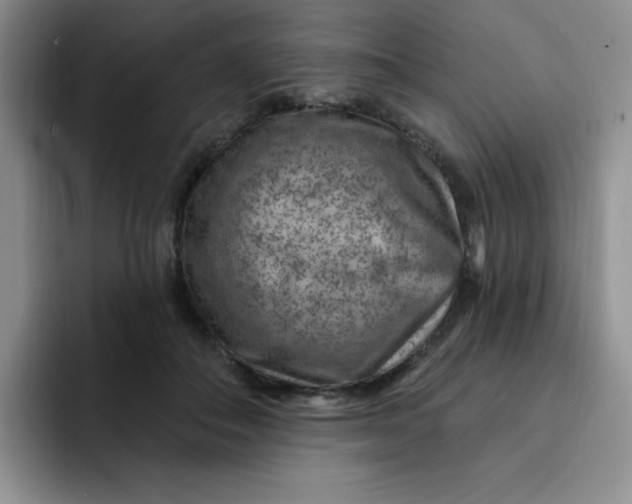 X0000091730506200709141228