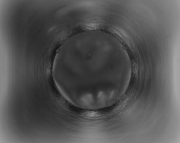 X0000091730507200709141228