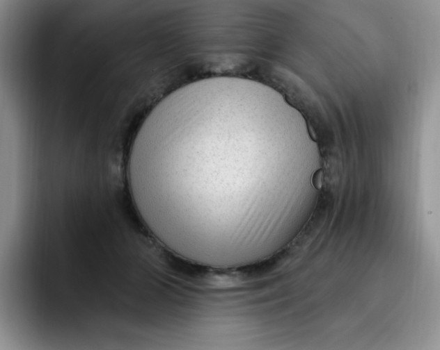 X0000091730510200709141228