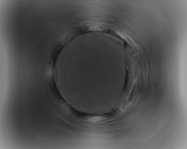 X0000091730513200709141228