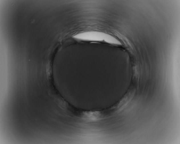 X0000091730517200709141228