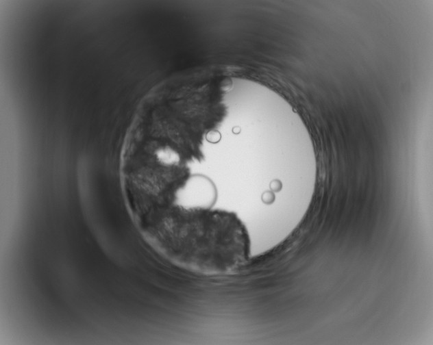 X0000091730519200709141228