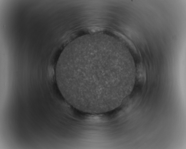 X0000091730523200709141228