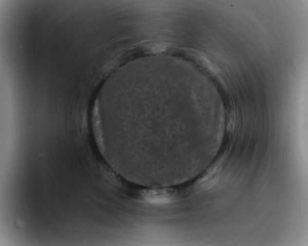 X0000091730524200709141228