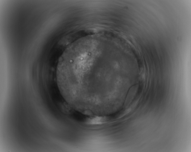 X0000091730527200709141228