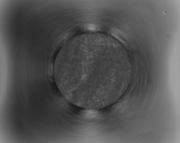 X0000091730528200709141228