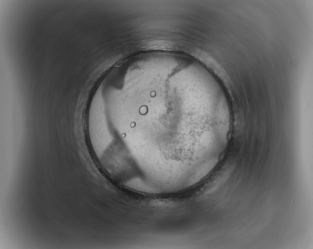 X0000091730529200709141227