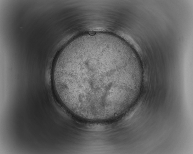 X0000091730533200709141227