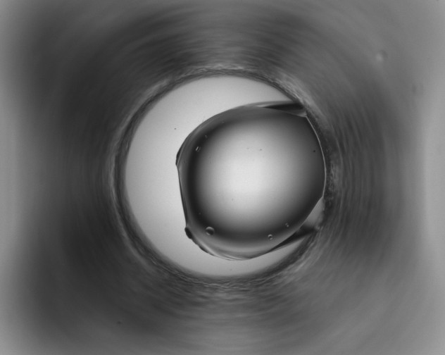 X0000091730534200709141228