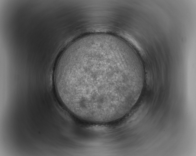 X0000091730537200709141228