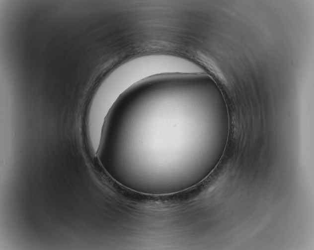 X0000091730538200709141228