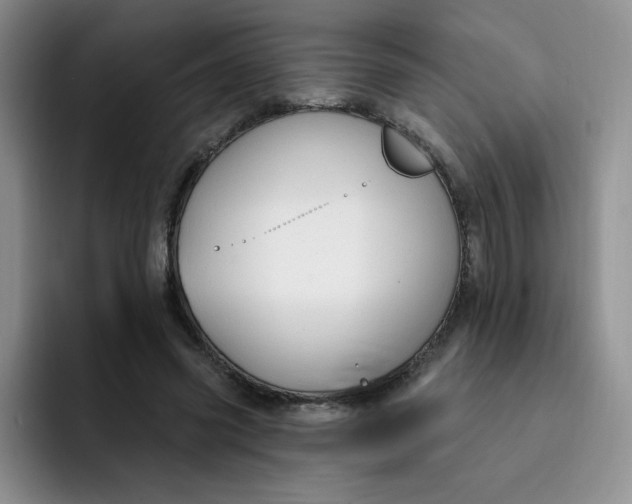 X0000091730541200709141228