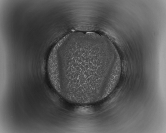 X0000091730550200709141228