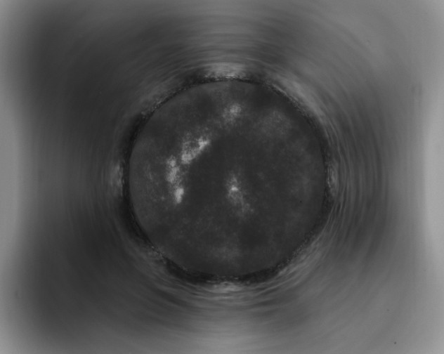 X0000091730551200709141228