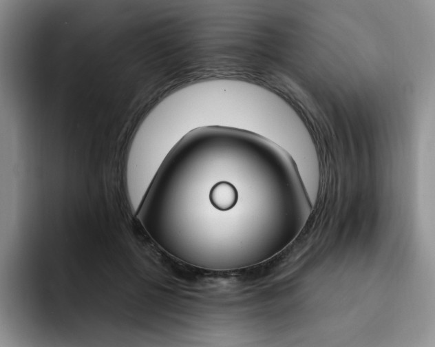 X0000091730552200709141228