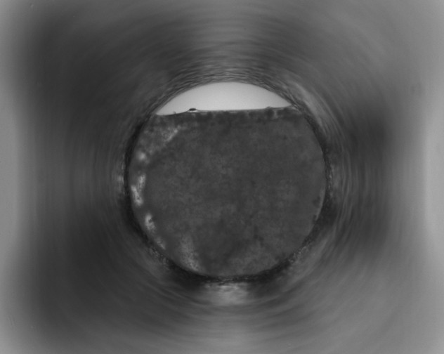 X0000091730553200709141228