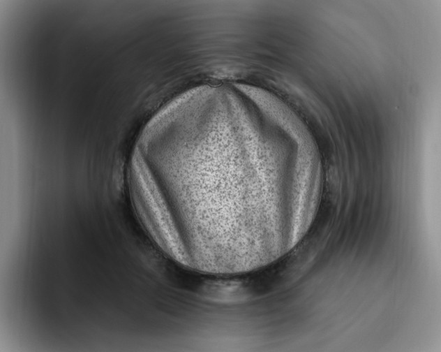 X0000091730554200709141228