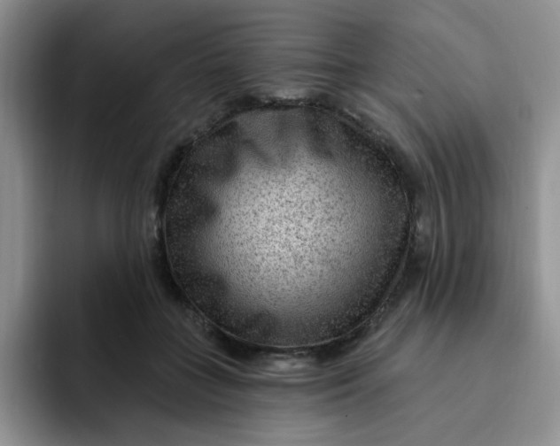 X0000091730555200709141228