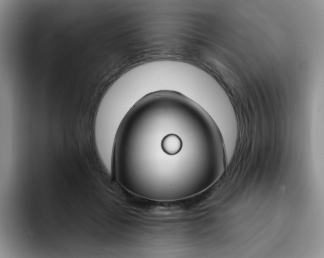 X0000091730556200709141228