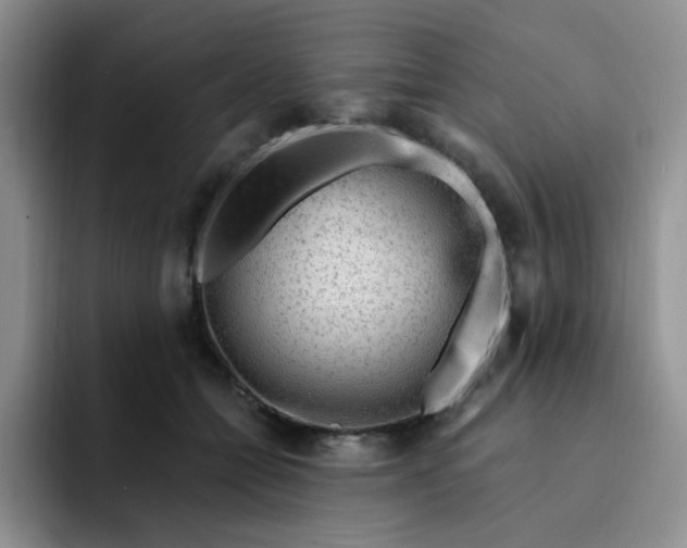 X0000091730558200709141228