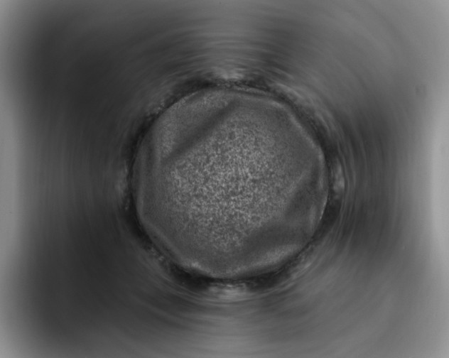 X0000091730559200709141228