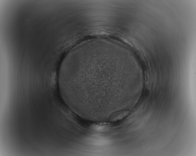 X0000091730563200709141228