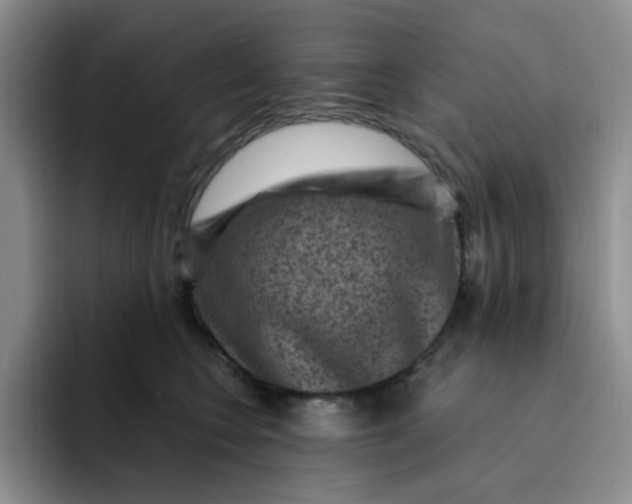 X0000091730566200709141228