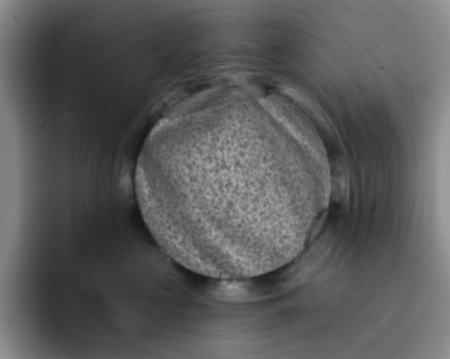 X0000091730573200709141228