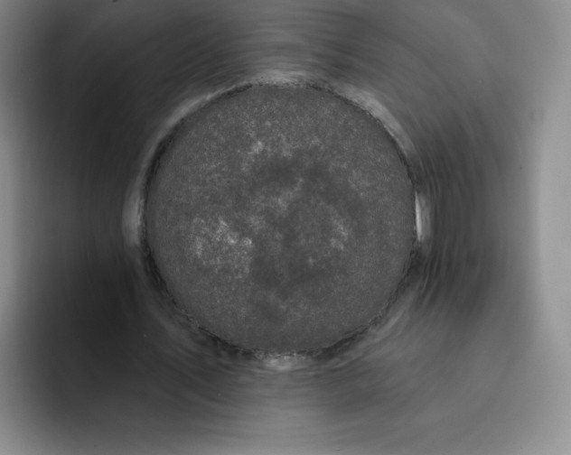 X0000091730579200709141227