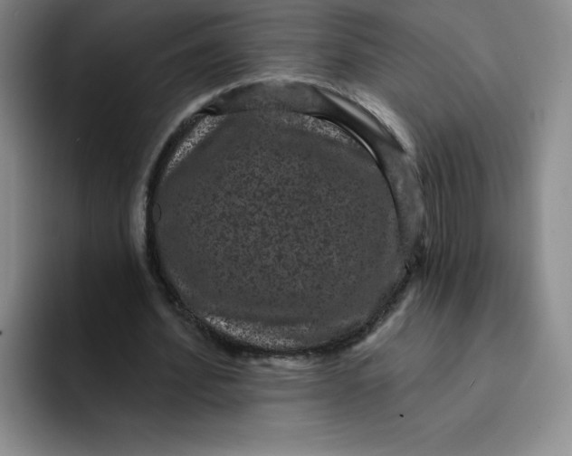 X0000091730580200709141227