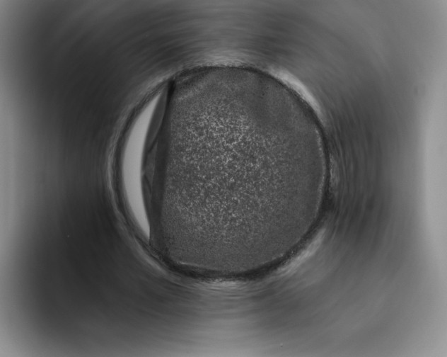 X0000091730581200709141227