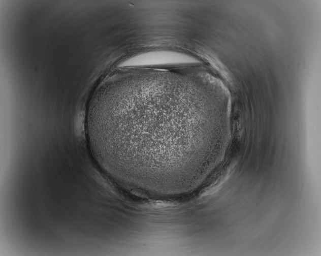 X0000091730585200709141227