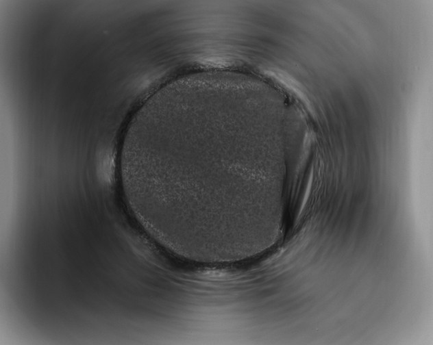 X0000091730596200709141227