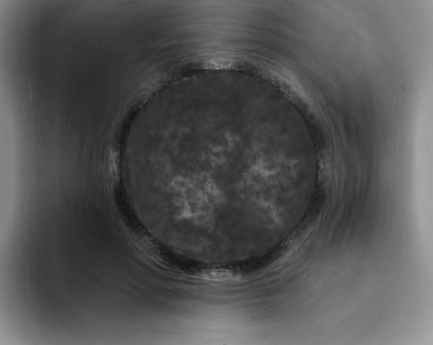 X0000091730598200709141227