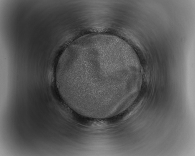 X0000091730599200709141227