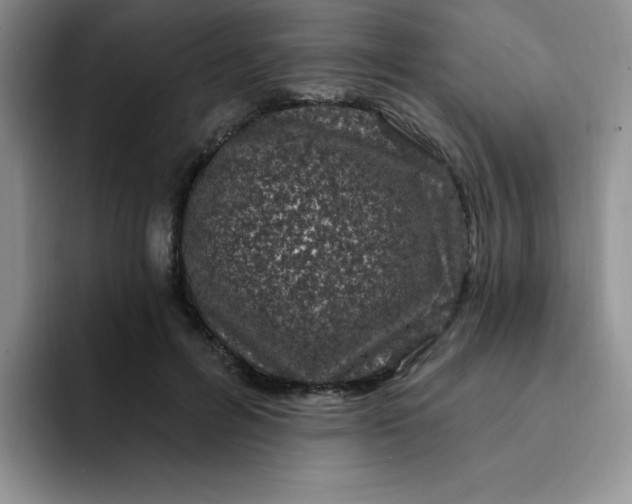 X0000091730600200709141227