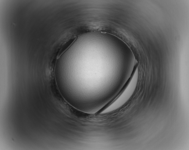 X0000091730601200709141227