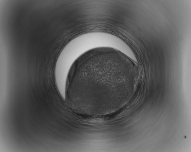 X0000091730604200709141227