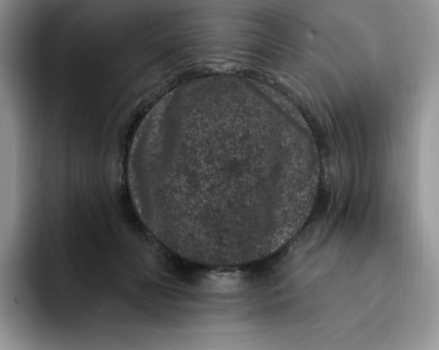 X0000091730606200709141227