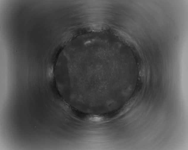 X0000091730610200709141227